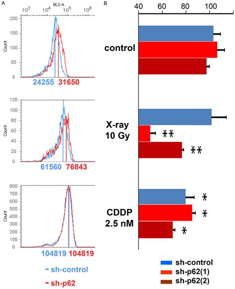 P Sqstm Repression Caused Ros Accumulation And Gsh Gssg Reduction