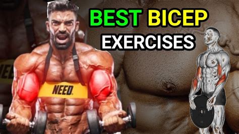 5 New Biceps Workout For Bigger Arms | Grow Biceps Peak | - YouTube