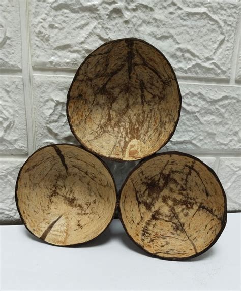 Coconut Shell Serving Bowl Set Size Dimension Cm L At Rs Set