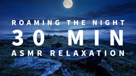 ROAMING THE NIGHT 30 Minute Relaxation EROTIC DARK NIGHT SEX Forbidden ASMR YouTube