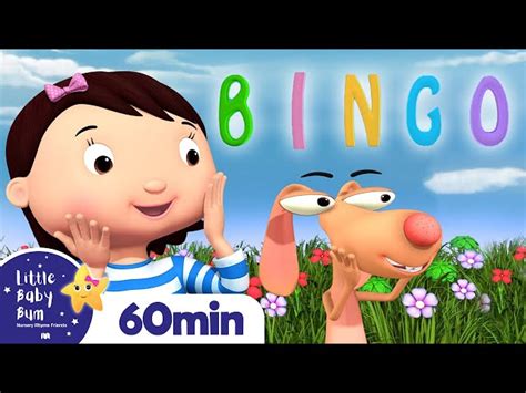 Bingo | +More Nursery Rhymes and Kids Songs | Little Baby Bum - Videos ...