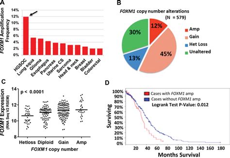 Genetic Determinants Of Foxm1 Overexpression In Epithelial Ovarian