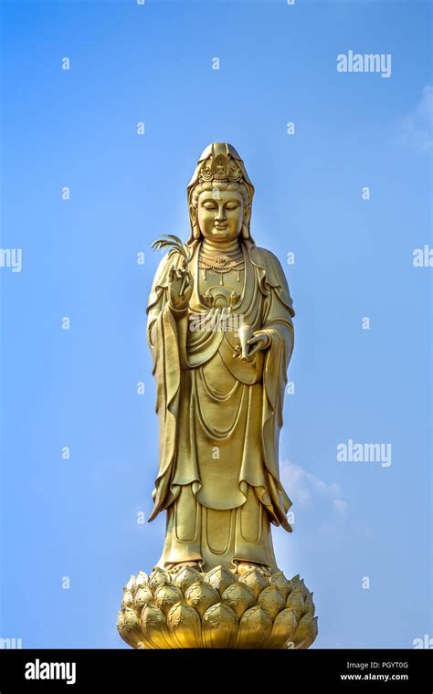 Golden Statue Of The Goddess Of Mercy Guanyin Or Guan Yin Standing On