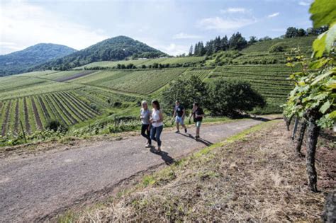 Weinfestkalender Südliche Weinstraße 2024 Treffpunkt Pfalz