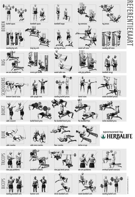 Oefeningen Met Dumbels Bodybuilding Workout Chart Gym Workout Chart