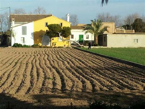 Horta Sud j g mazorriaga Valencia españa Valencia España