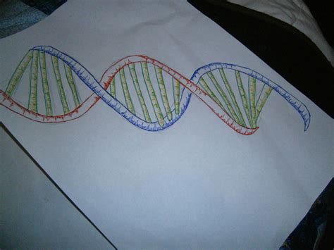 DNA Strand - Art Board by XxTheFoshyNozz on DeviantArt