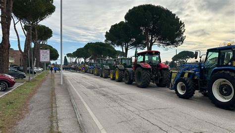 La rivolta dei trattori ecco perché dilaga la protesta degli