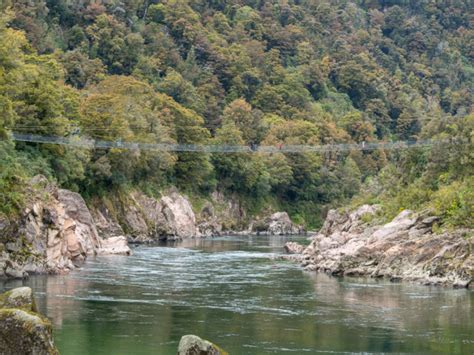 Buller Gorge Swingbridge Adventure and Heritage Park: » Swingbridge ...