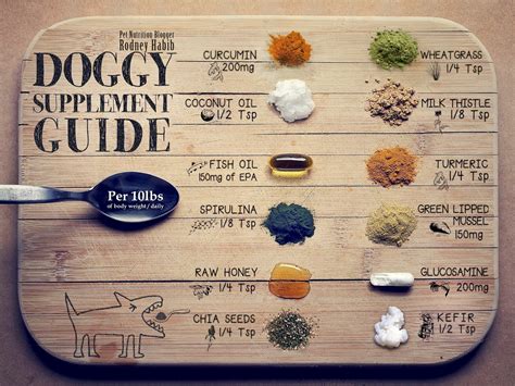 Dog Food Diet Chart - Chart Reading Skills