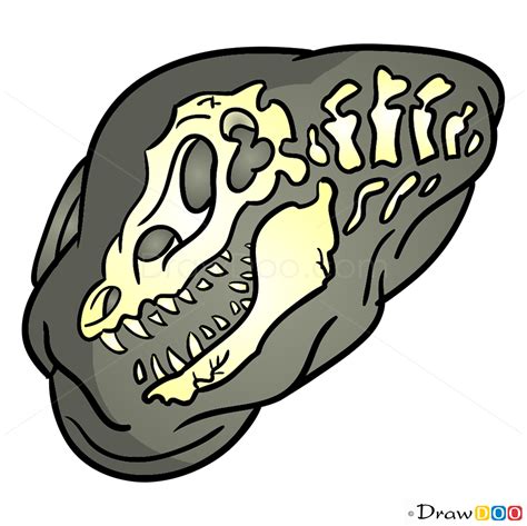 How To Draw Fossil Dinosaurus