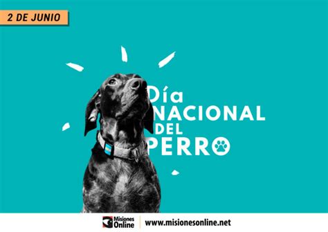 Por Qu Se Celebra Hoy El D A Nacional Del Perro En Argentina Radio