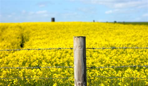 9 Types of Farm Fencing - Farmhouse Guide