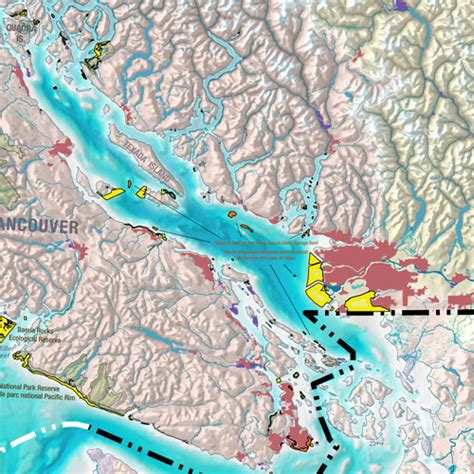 Strait of Georgia and Howe Sound Glass Sponge Reef - Canadian Geographic