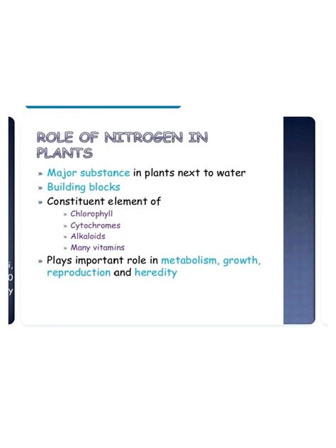 Nitrogen Fixing Bacteria | PDF