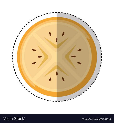 Fresh fruit slice isolated icon Royalty Free Vector Image