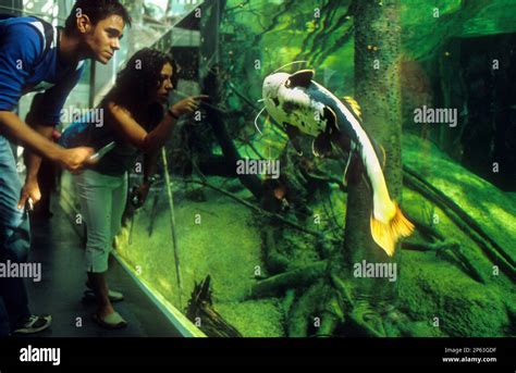 Barcelona Museum Of The Science Cosmocaixa Forest Flooded Bosque