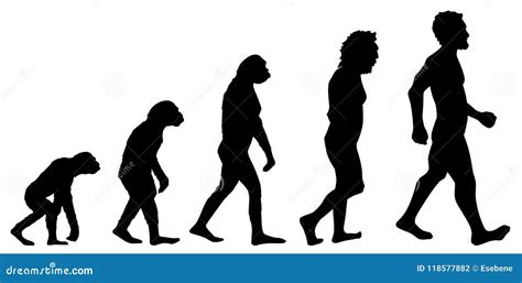 Human evolution graphic stock illustration. Illustration of pretty ...