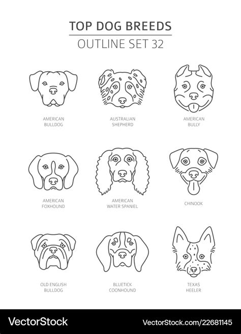 Top dog breeds pet outline collection Royalty Free Vector