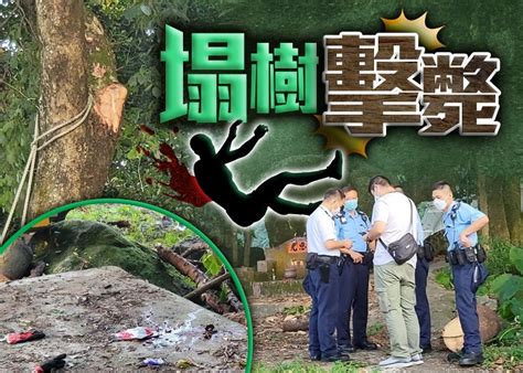 大埔林錦公路梧桐寨塌樹 修樹村代表遭擊中死亡｜即時新聞｜港澳｜oncc東網