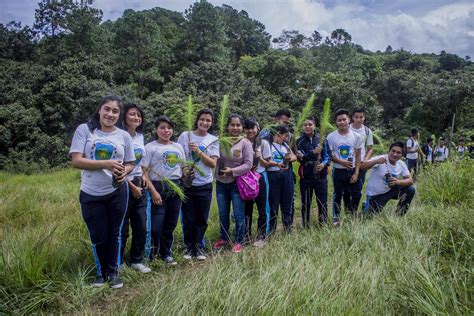 Todo un éxito jornada de reforestación en Aldea Montufar Sanjuansac