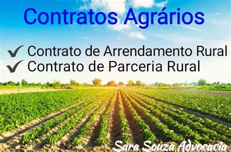 Quais São Os Tipos De Contratos Agrários