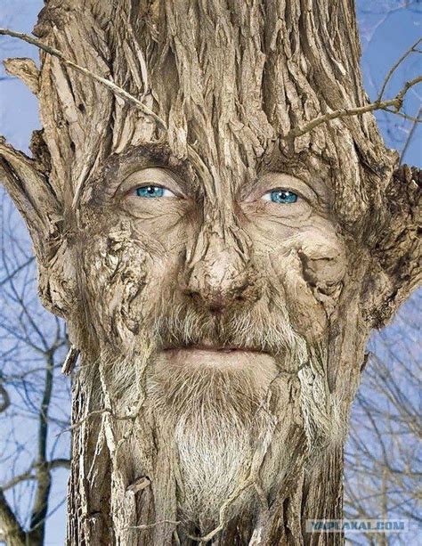 Шедевры из корней дерева | Wood carving art, Art, Green man