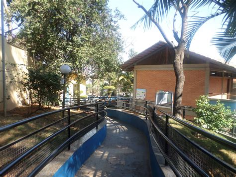 Escola Municipal Helio Pellegrino - 8