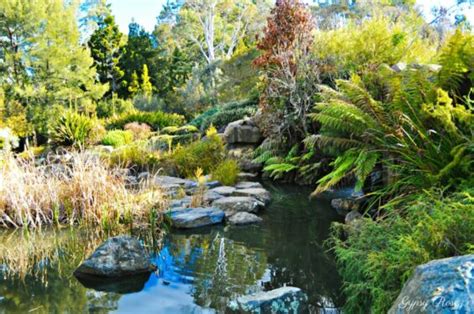 Australian National Botanic Gardens - LetsGoKids