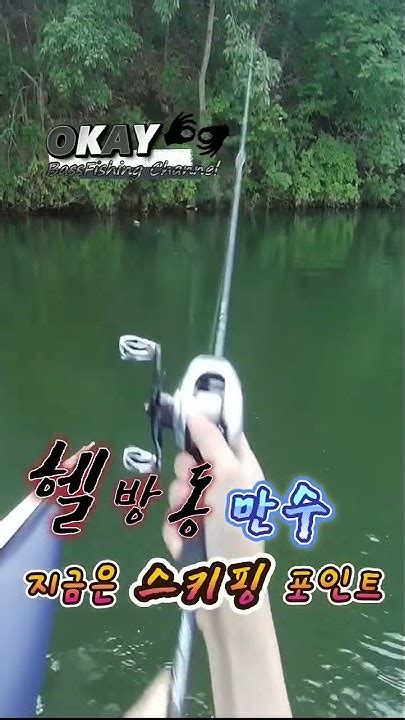 방동저수지 초만수 지금은 스키핑포인트 Feat코바엘리트 배스낚시 Bassfishing 보팅낚시 Youtube