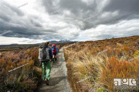 Hikers on hiking trail Tongariro Northern Circuit, Great Walk, Stock ...