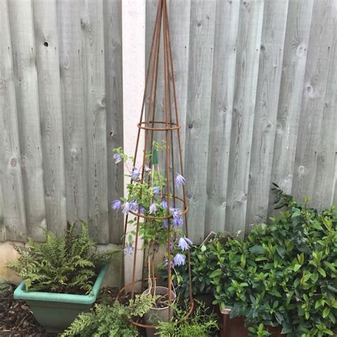 Obelisk, Solid Steel, Garden Structure, Plant Support - Etsy