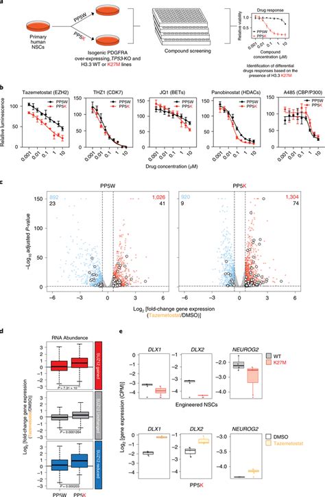 Ezh2 Inhibitor Treatment Reverses Oncogenic Transcriptional Repression