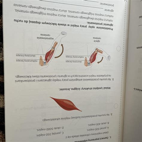 Pomoże mi ktoś zrobić cała stronę potrzebuje na teraz pilne Brainly pl