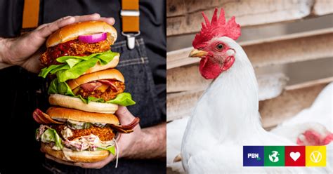 Vegan Chicken Brand Vfc Secures Million In Funding After Helping