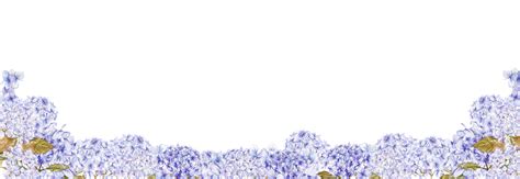 Watercolor Horizontal Seamless Background With Blue Hydrangea