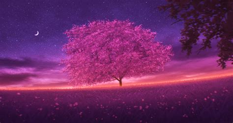 Wallpaper Atmosphere Sky Purple Natural Landscape Tree Branch