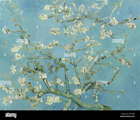 Vincent Van Gogh Almond Blossom Stock Photo Alamy