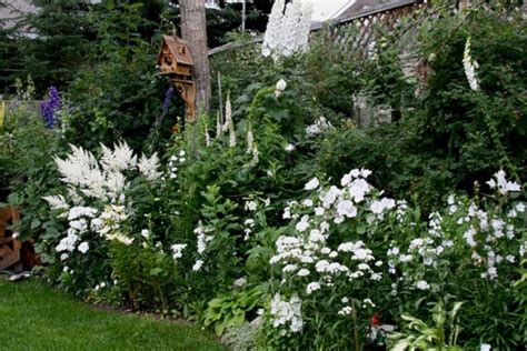 25+ Awesome White Garden Ideas With White Flower Collection in Your ...