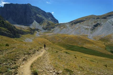 Premium Photo Rear View Of Hiker Walking On Trail Amidst Field