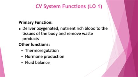 Phys Final Exam Flashcards Quizlet