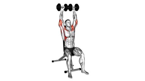 dumbbell seated shoulder press ultimate guide tips