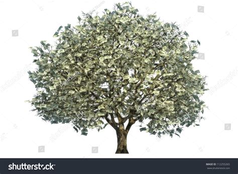 Money Tree Large Tree With Money For Leaves On A White Background