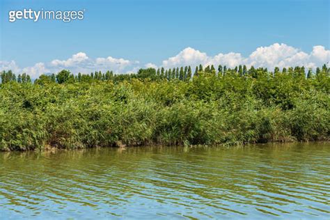 Regional Natural Park Of Migliarino San Rossore And Massaciuccoli