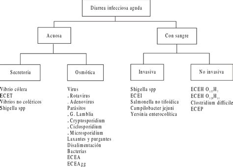 Figure From Fisiopatolog A De La Diarrea Aguda Semantic Scholar