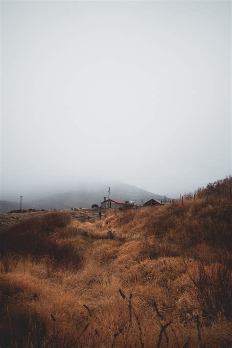 Free Images Sky Atmospheric Phenomenon Hill Ecoregion Fog Tree