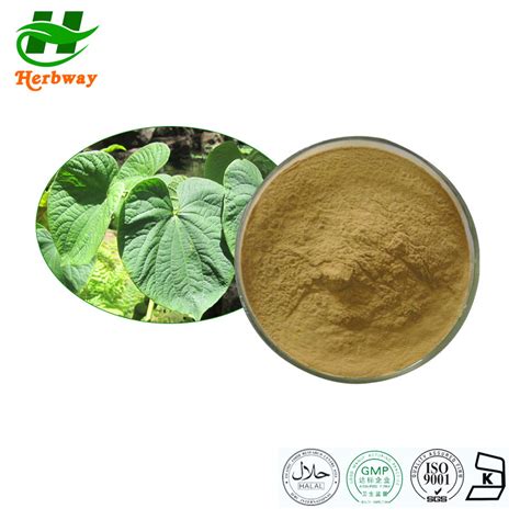 Herbal Extract Kosher Halal Fssc Haccp Certified Piper Methysticum