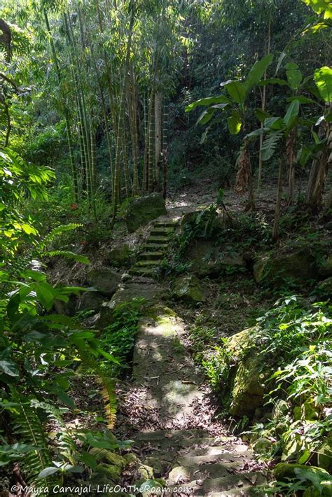 The Best Hiking Trails on Nevis Island | Life On The Roam