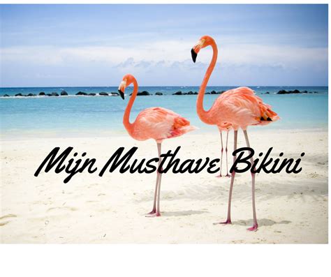 GESPOT De IK WIL HEM HEBBEN Bikini Voor Deze Zomer Shopaholiek