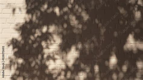 Flickeringshadows Of Leaves Of Tree On Brick Wall In Sunlight